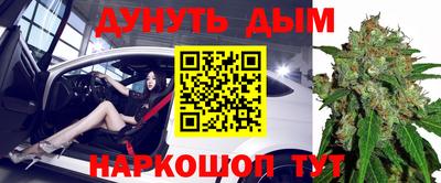 крисы Бердск