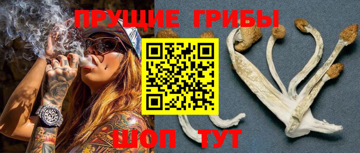 Галлюциногенные грибы Psilocybe Аша